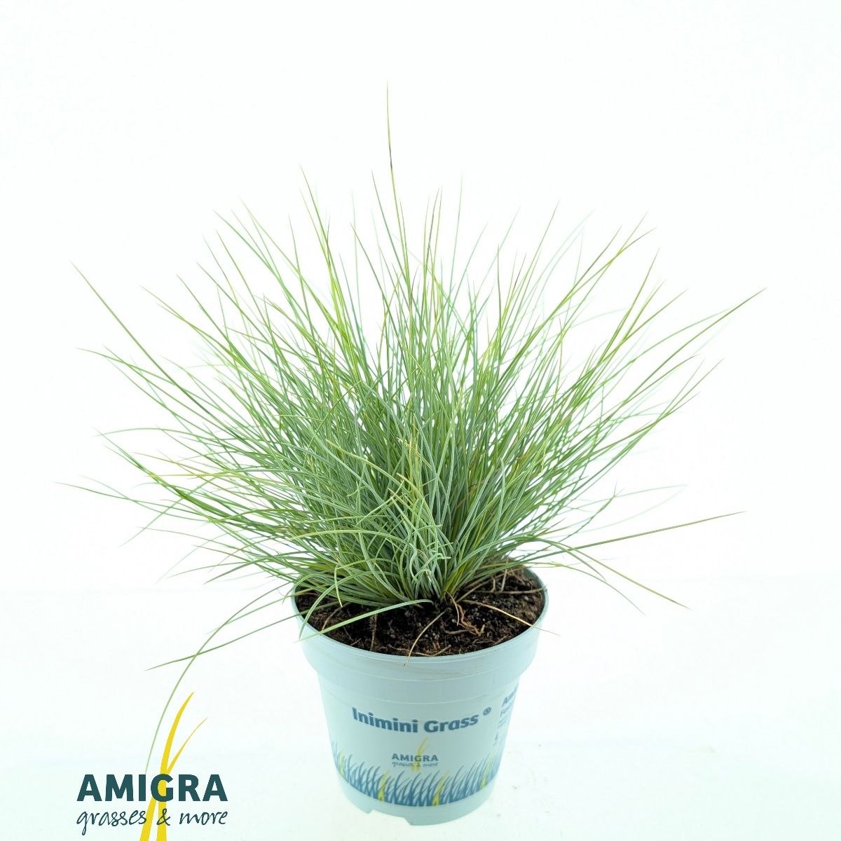 Main image on product details page