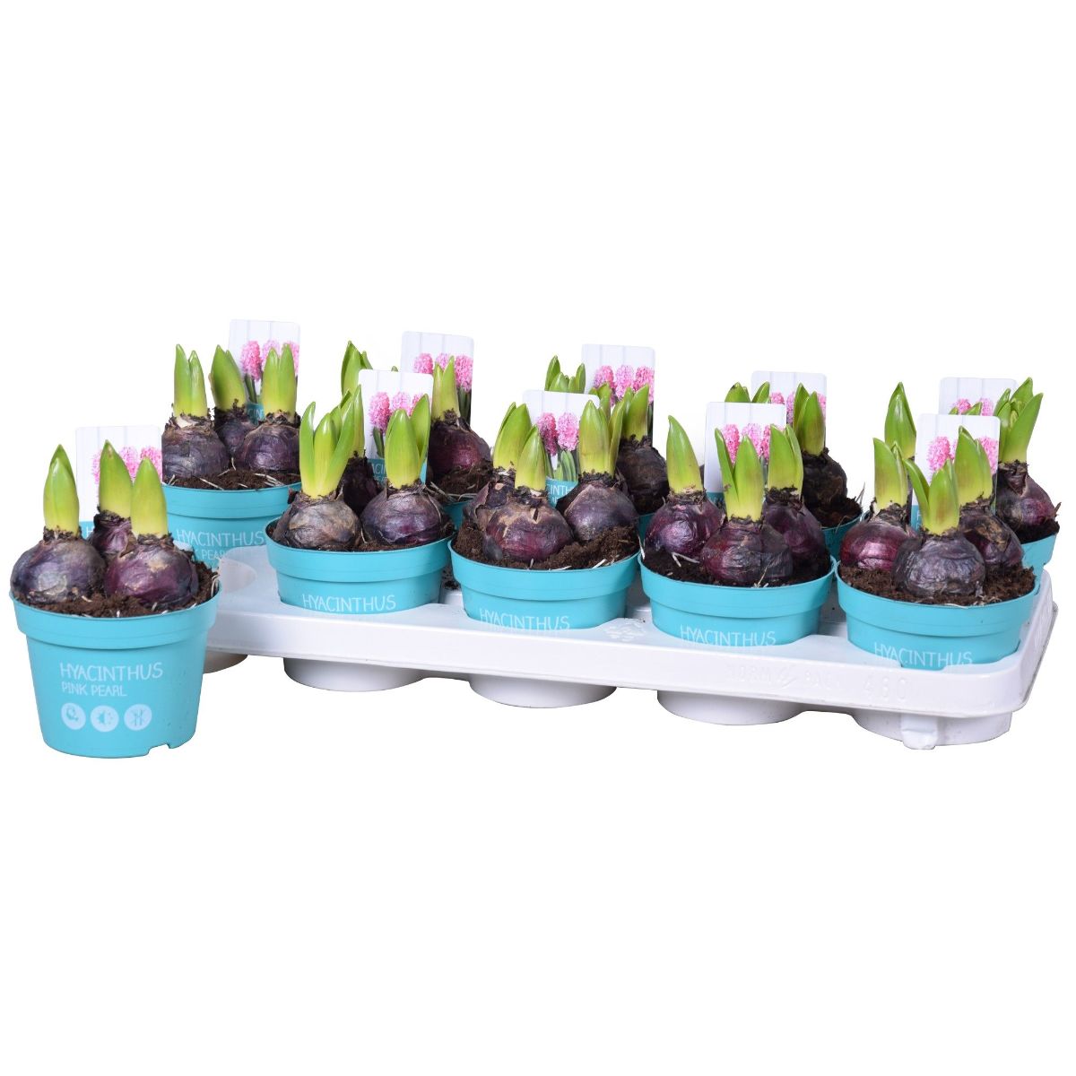 Main image on product details page