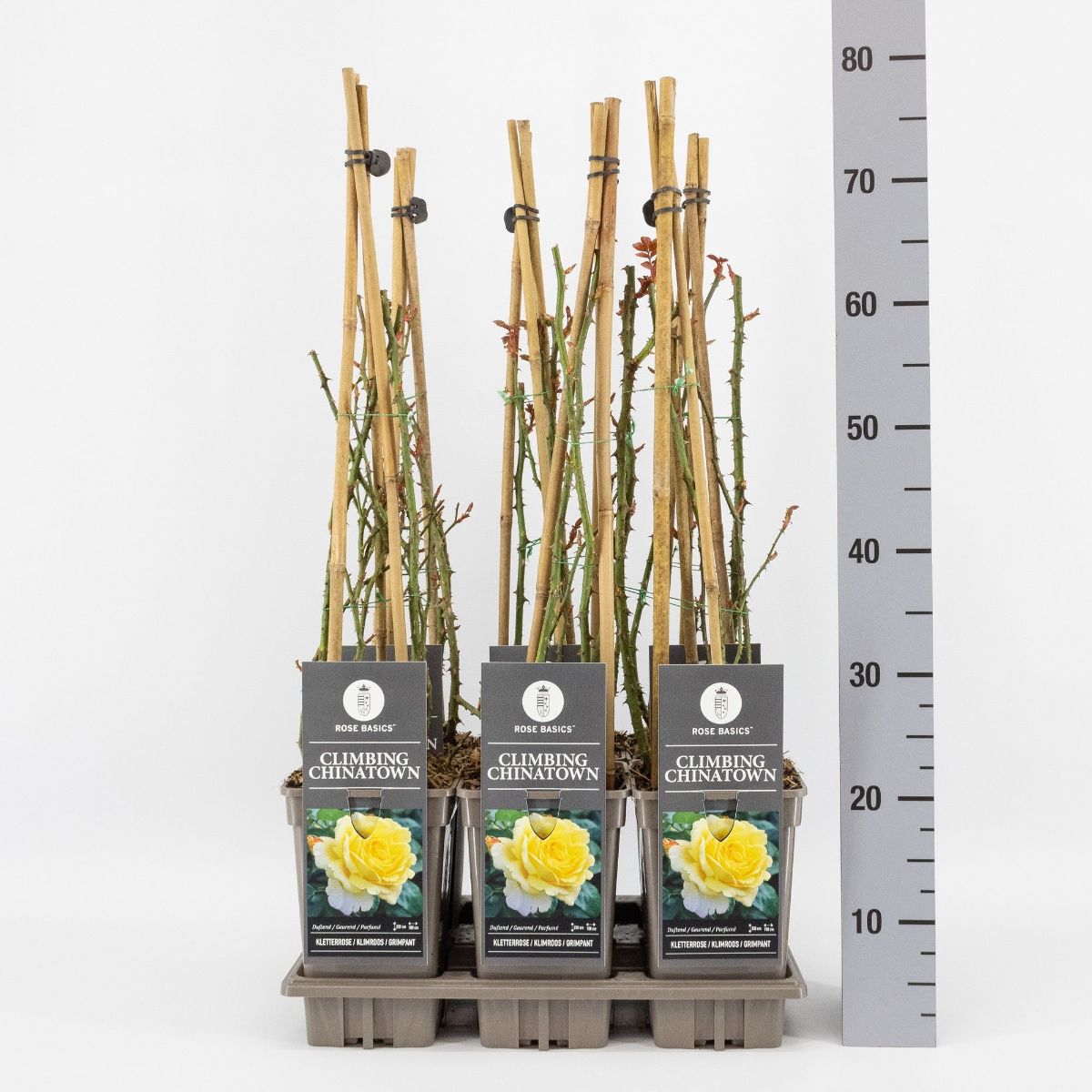 Main image on product details page