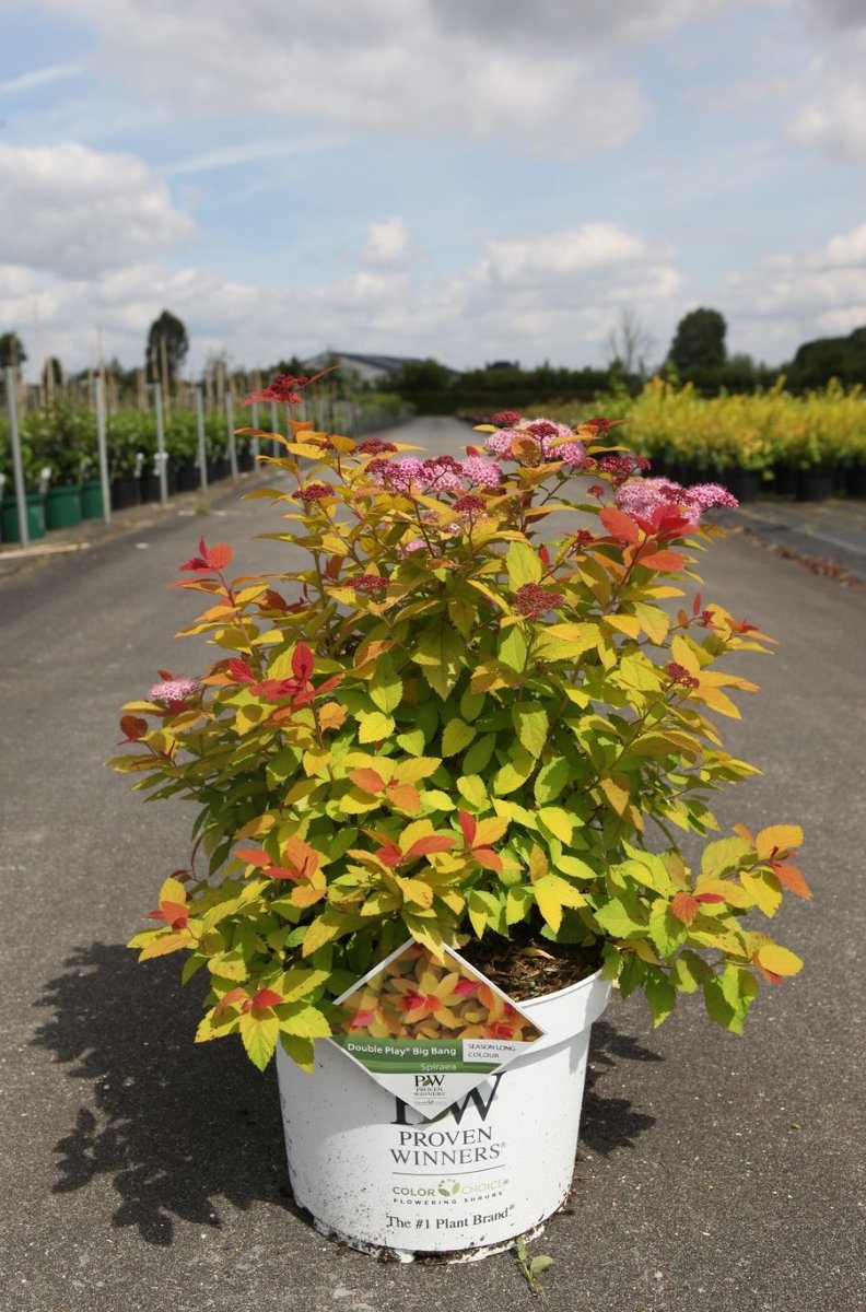Main image on product details page