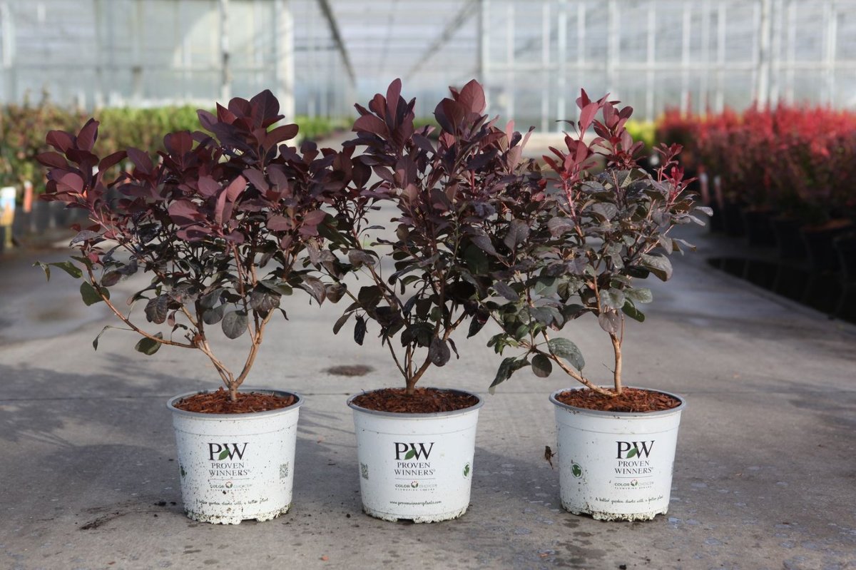 Main image on product details page