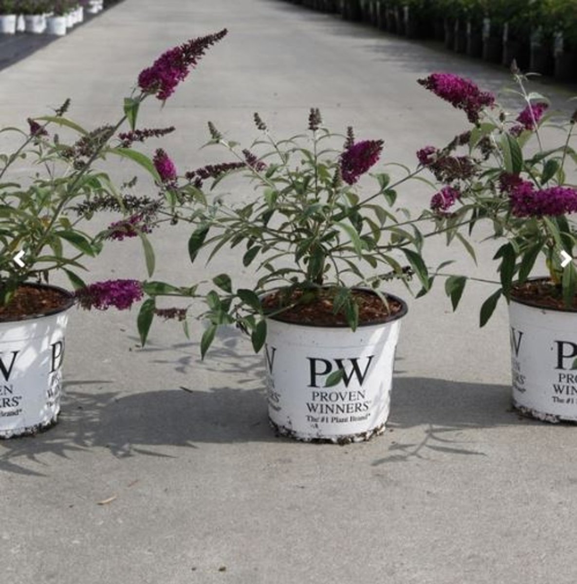 Main image on product details page