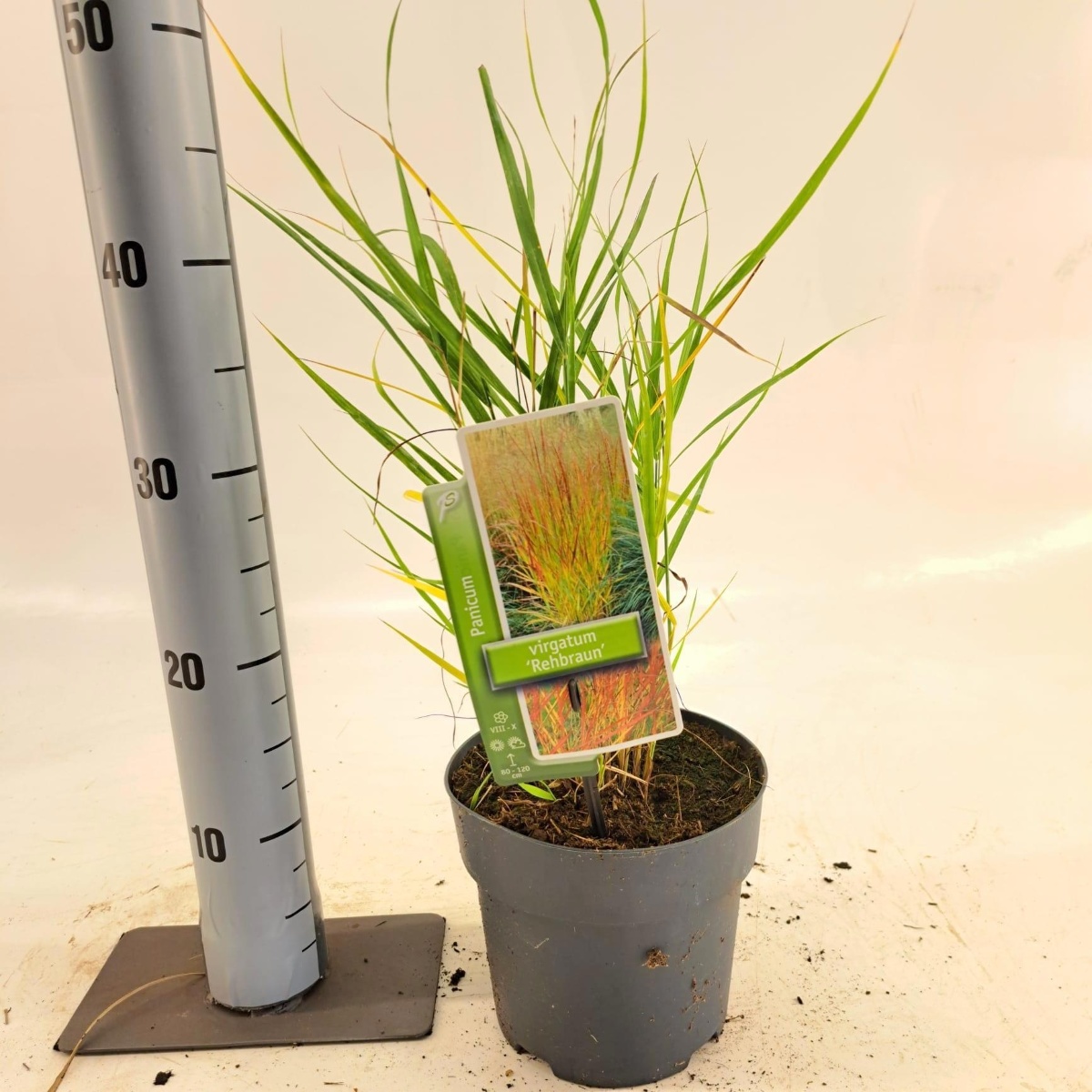 Main image on product details page