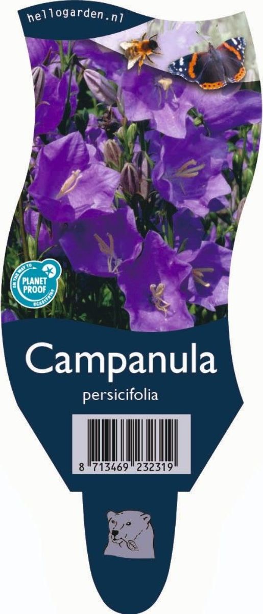 Main image on product details page