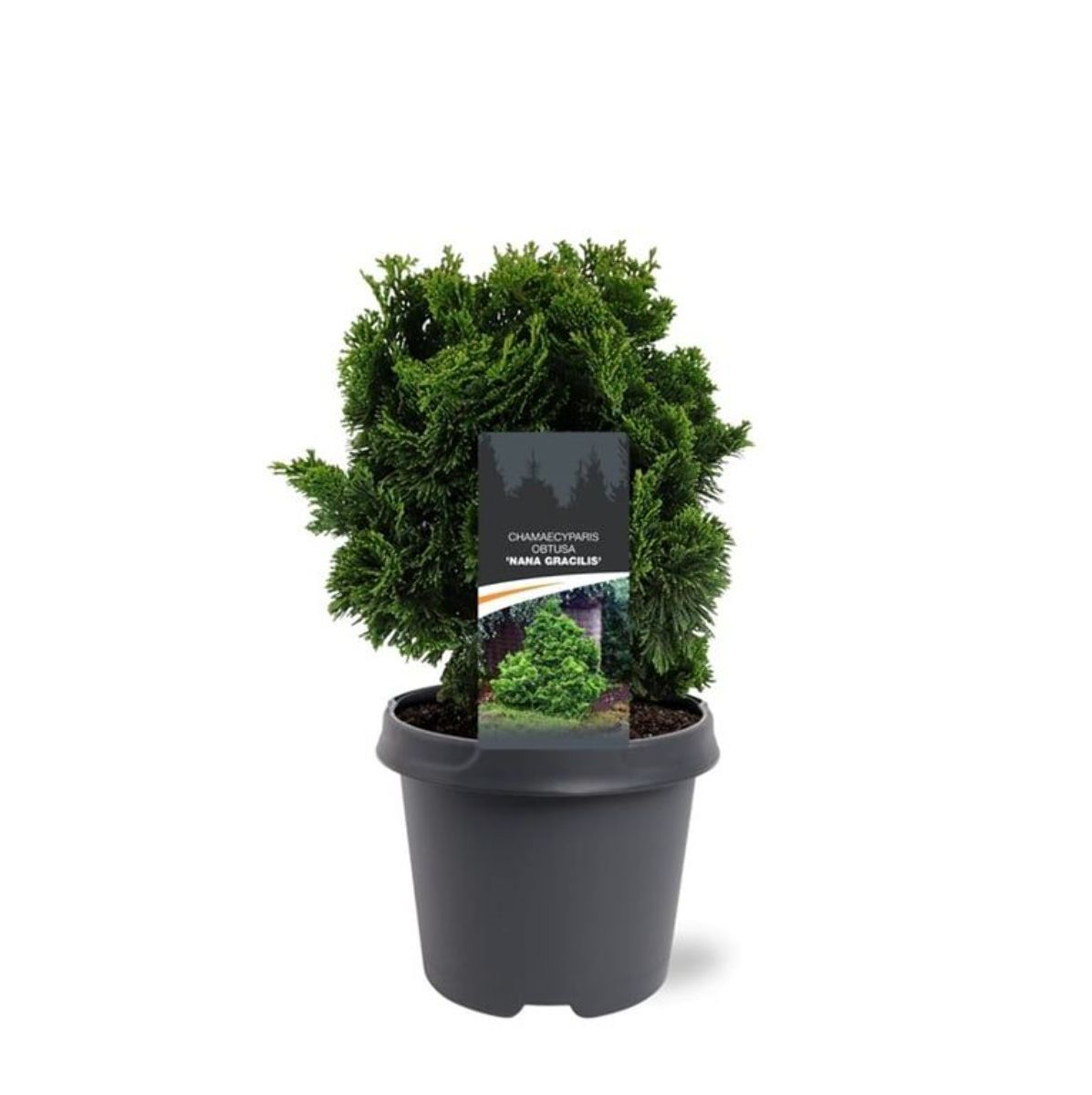 Main image on product details page