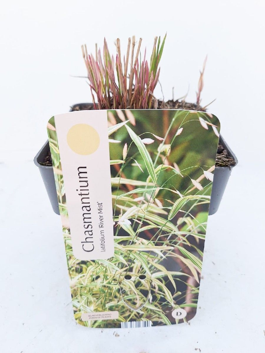 Main image on product details page